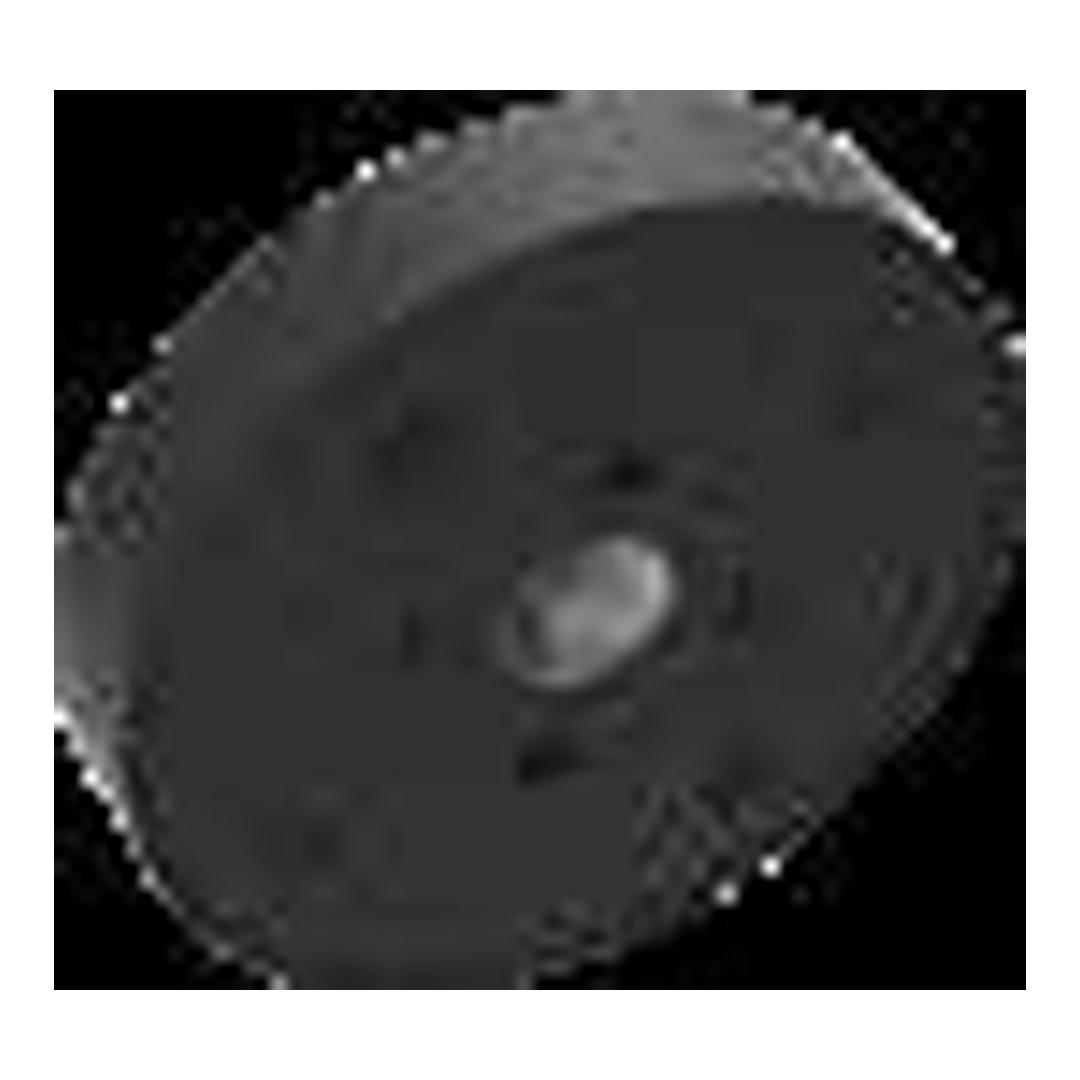 Delta 6" H?Okinetic Showerhead-75BL